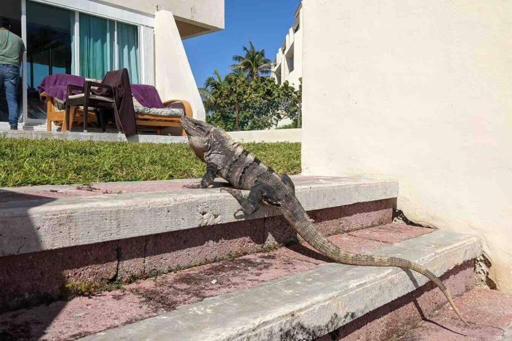 Cancun Oceanfront, Entire Apartment Ngoại thất bức ảnh